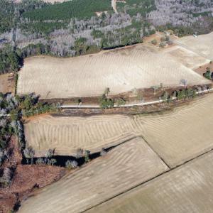 Photo #15 of TBD Beth Dr., Nichols, SC 45.5 acres