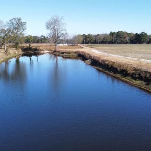 Photo #2 of TBD Beth Dr., Nichols, SC 45.5 acres