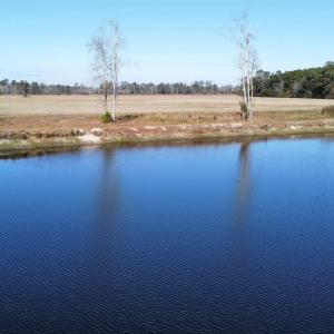 Photo #17 of TBD Beth Dr., Nichols, SC 45.5 acres