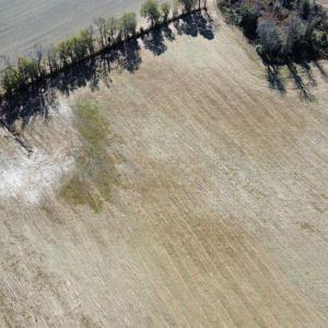 Photo #3 of TBD Beth Dr., Nichols, SC 45.5 acres