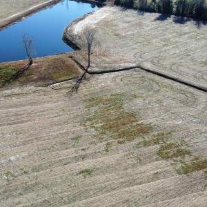 Photo #7 of TBD Beth Dr., Nichols, SC 45.5 acres