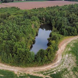 Photo #4 of TBD Hwy 9, Green Sea, SC 65.2 acres