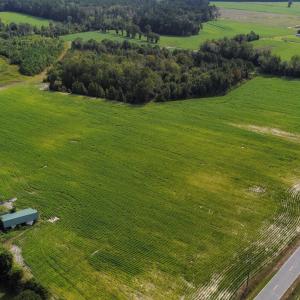 Photo #11 of TBD Hwy 9, Green Sea, SC 65.2 acres