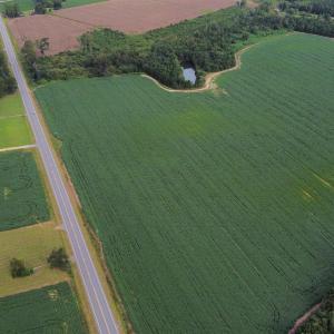Photo #3 of TBD Hwy 9, Green Sea, SC 65.2 acres