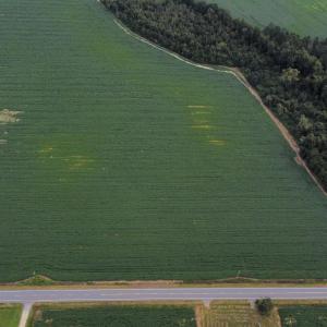 Photo #7 of TBD Hwy 9, Green Sea, SC 65.2 acres