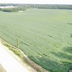 Photo #1 of TBD Hwy 9, Green Sea, SC 65.2 acres