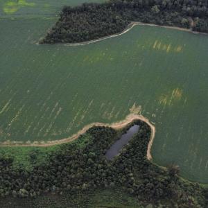 Photo #6 of TBD Hwy 9, Green Sea, SC 65.2 acres