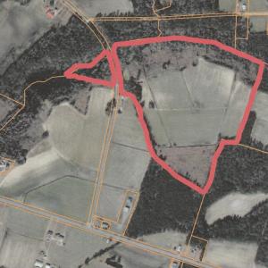 Photo #4 of 40ac Willoughby Rd., Nichols, SC 40.0 acres