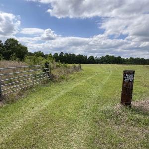Photo #5 of Grady Rd., Mullins, SC 20.0 acres