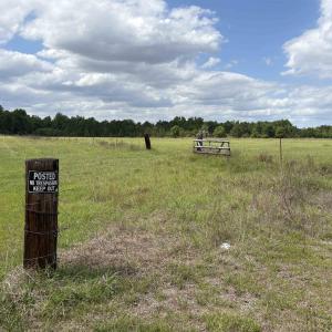 Photo #3 of Grady Rd., Mullins, SC 20.0 acres