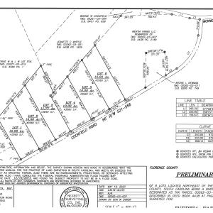 Photo #5 of 1291 Cockfield Rd., Scranton, SC 11.8 acres