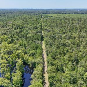 Photo #15 of 2879 Waccamaw Cove, Longs, SC 60.3 acres