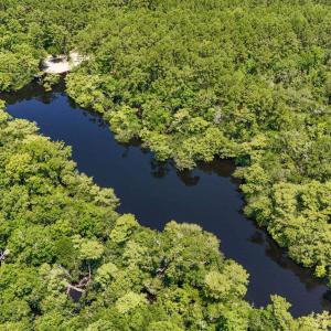 Photo #10 of 2879 Waccamaw Cove, Longs, SC 60.3 acres
