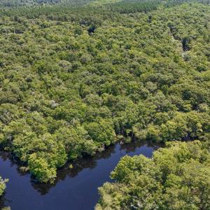 Photo #11 of 2879 Waccamaw Cove, Longs, SC 60.3 acres