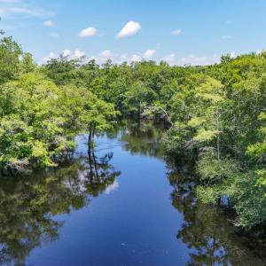 Photo #12 of 2879 Waccamaw Cove, Longs, SC 60.3 acres