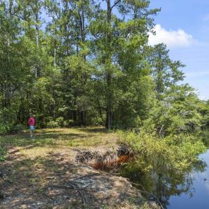 Photo #31 of 2879 Waccamaw Cove, Longs, SC 60.3 acres