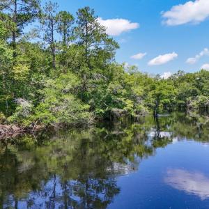 Photo #2 of 2879 Waccamaw Cove, Longs, SC 60.3 acres