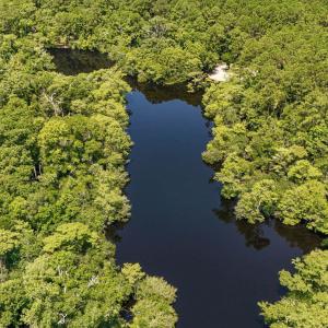 Photo #8 of 2879 Waccamaw Cove, Longs, SC 60.3 acres