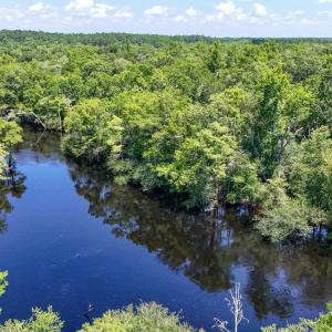 Photo #13 of 2879 Waccamaw Cove, Longs, SC 60.3 acres