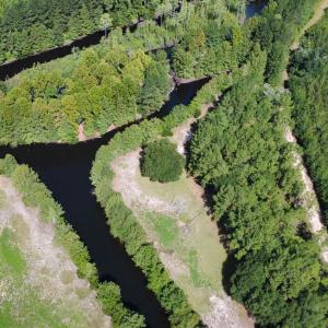 Photo #3 of TBD Hardwick Rd., Nichols, SC 14.0 acres
