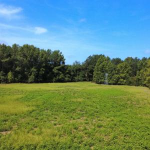 Photo #2 of TBD Hardwick Rd., Nichols, SC 14.0 acres