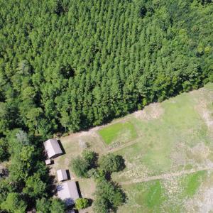 Photo #4 of TBD Hardwick Rd., Nichols, SC 14.0 acres