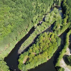 Photo #5 of TBD Hardwick Rd., Nichols, SC 14.0 acres