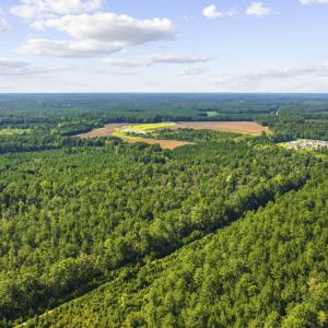 Photo #7 of TBD Fries Bay Rd., Loris, SC 30.0 acres