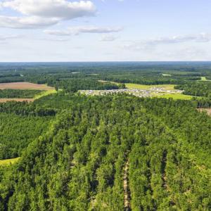 Photo #3 of TBD Fries Bay Rd., Loris, SC 30.0 acres