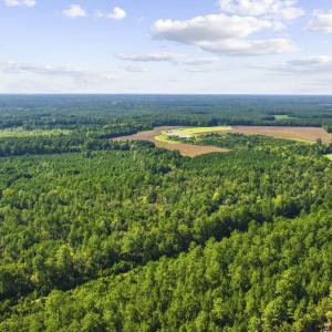Photo #2 of TBD Fries Bay Rd., Loris, SC 30.0 acres