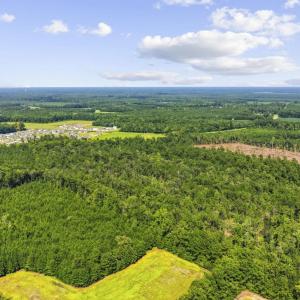 Photo #5 of TBD Fries Bay Rd., Loris, SC 30.0 acres
