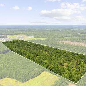 Photo #1 of TBD Fries Bay Rd., Loris, SC 30.0 acres