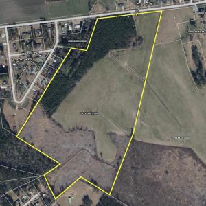 Photo #2 of TBD Old Nichols Hwy., Mullins, SC 53.5 acres