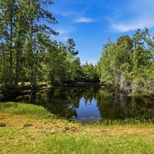 Photo #38 of 6400 Black Creek Rd., Nichols, SC 93.5 acres