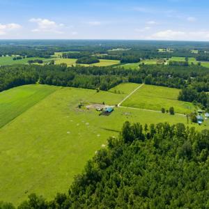 Photo #26 of 6400 Black Creek Rd., Nichols, SC 93.5 acres