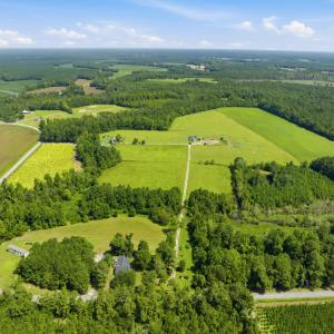 Photo #2 of 6400 Black Creek Rd., Nichols, SC 93.5 acres