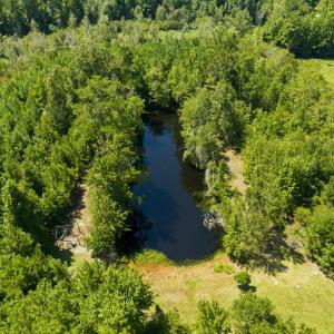 Photo #11 of 6400 Black Creek Rd., Nichols, SC 93.5 acres