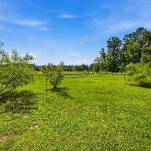 Photo #62 of 6400 Black Creek Rd., Nichols, SC 93.5 acres