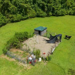 Photo #16 of 6400 Black Creek Rd., Nichols, SC 93.5 acres