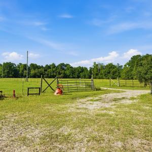 Photo #28 of 6400 Black Creek Rd., Nichols, SC 93.5 acres