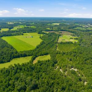 Photo #25 of 6400 Black Creek Rd., Nichols, SC 93.5 acres