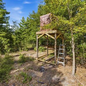 Photo #36 of 6400 Black Creek Rd., Nichols, SC 93.5 acres