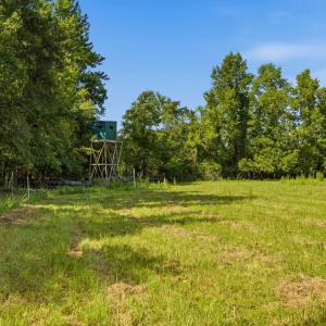 Photo #33 of 6400 Black Creek Rd., Nichols, SC 93.5 acres