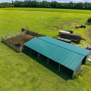 Photo #22 of 6400 Black Creek Rd., Nichols, SC 93.5 acres