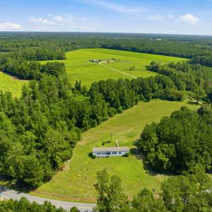 Photo #20 of 6400 Black Creek Rd., Nichols, SC 93.5 acres