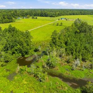 Photo #12 of 6400 Black Creek Rd., Nichols, SC 93.5 acres