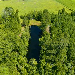 Photo #23 of 6400 Black Creek Rd., Nichols, SC 93.5 acres