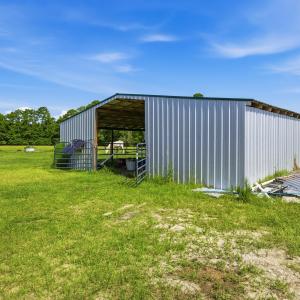 Photo #39 of 6400 Black Creek Rd., Nichols, SC 93.5 acres