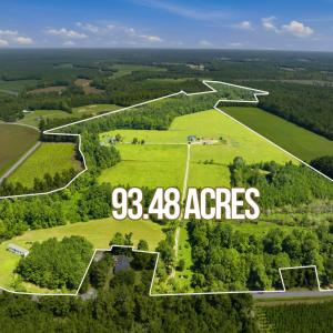 Photo #1 of 6400 Black Creek Rd., Nichols, SC 93.5 acres