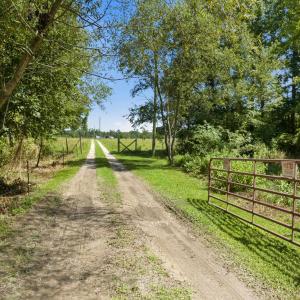 Photo #5 of 6400 Black Creek Rd., Nichols, SC 93.5 acres
